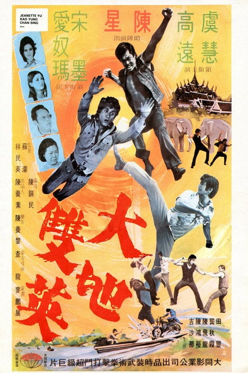 Movie poster for The Kung Fu Brothers (1973)