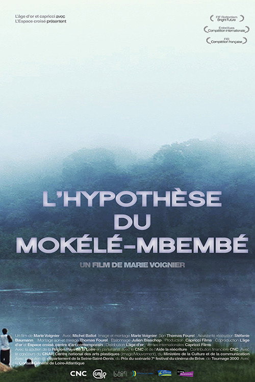 Movie poster for L'Hypothèse du Mokélé M'Bembé (2012)