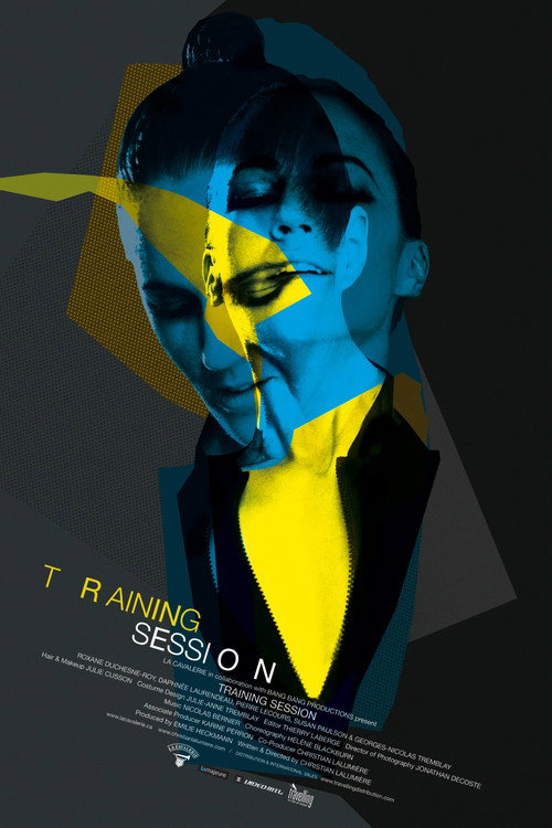 Movie poster for Training session (2014)