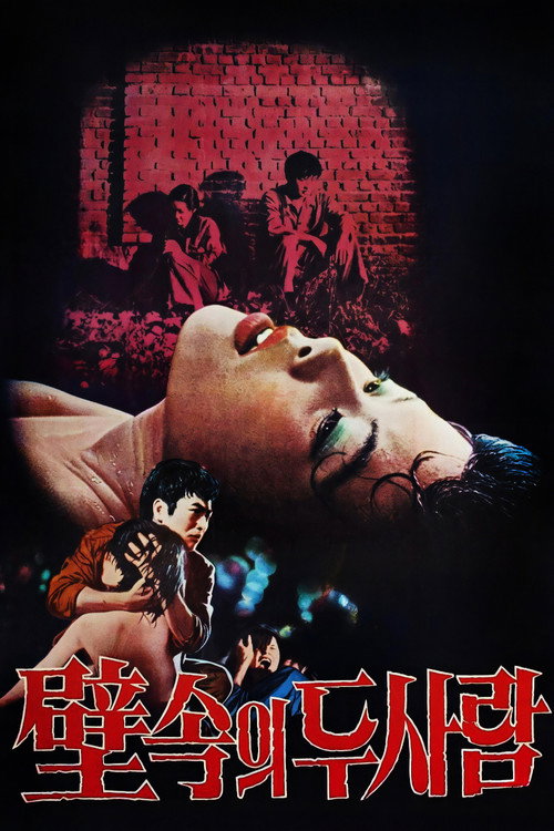 Movie poster for Two People In The Wall (1978)