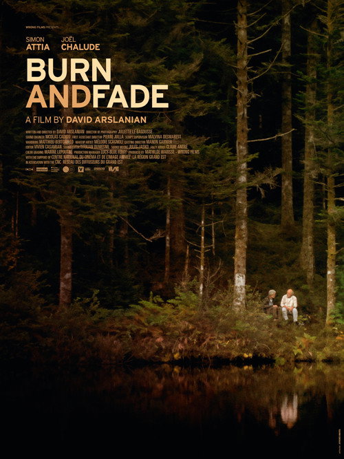Movie poster for Burn and Fade (2025)