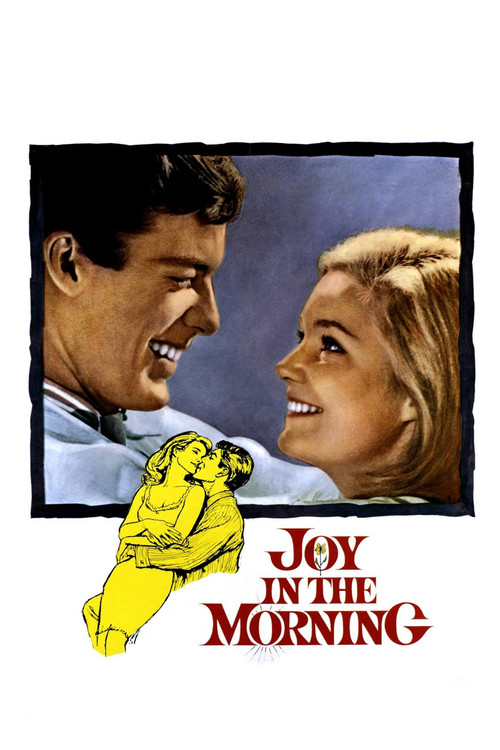Movie poster for Joy in the Morning (1965)