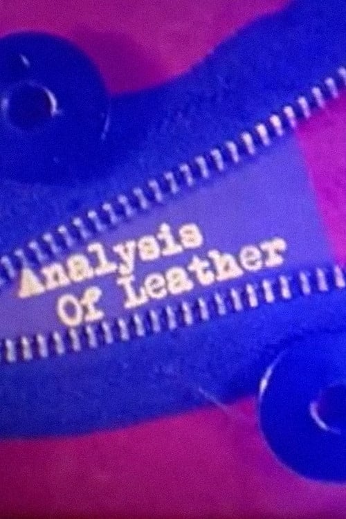 Analysis of Leather poster