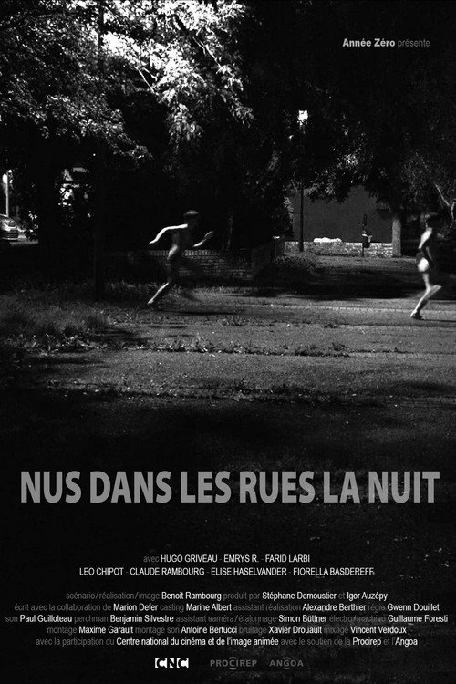 Movie poster for Naked in the Streets at Night (2019)