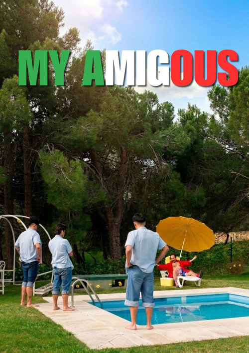 Movie poster for My Amigous