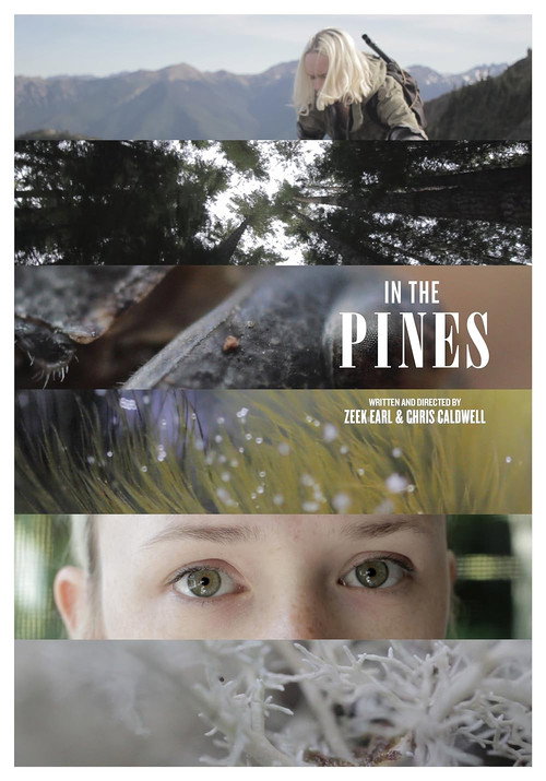 Movie poster for In the Pines (2011)