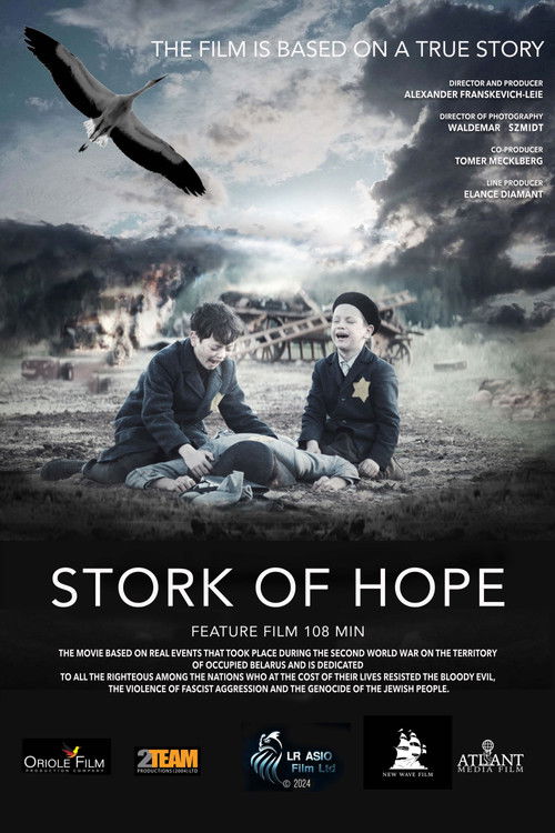 Movie poster for Stork of Hope (2025)