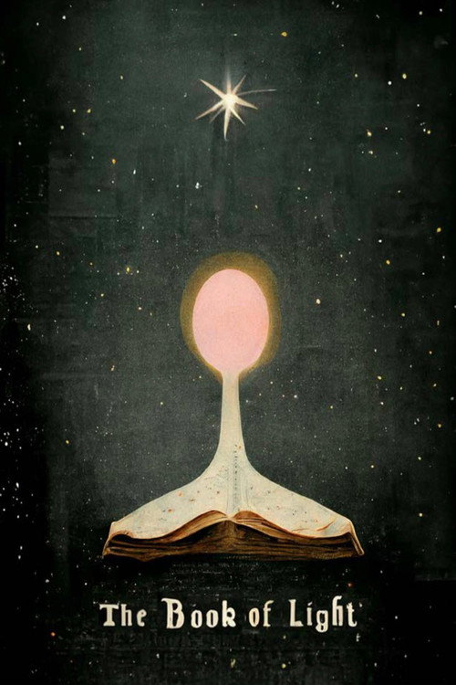 Movie poster for The Book of Light (2023)