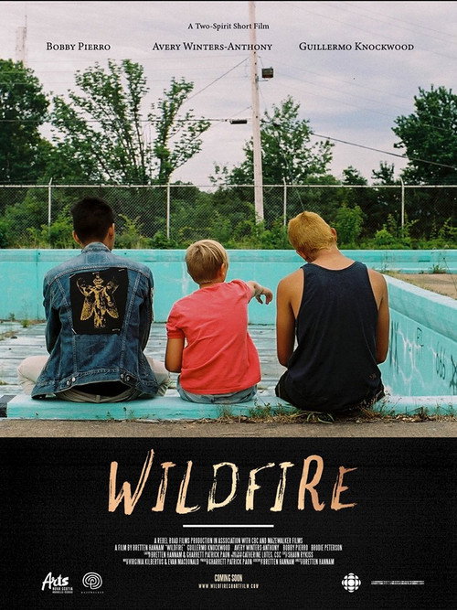 Movie poster for Wildfire (2019)