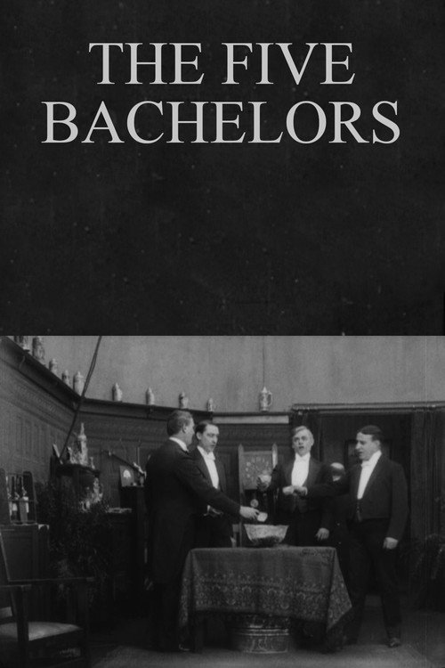 Movie poster for The Five Bachelors (1913)
