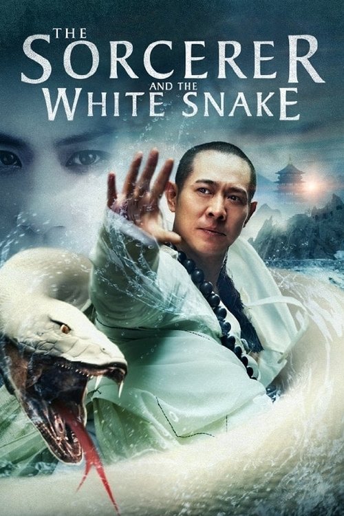 Movie poster for The Sorcerer and the White Snake (2011)