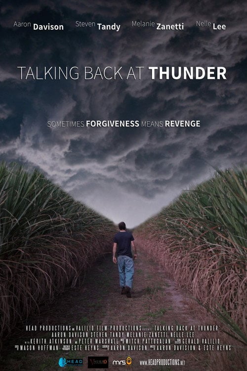 Movie poster for Talking Back at Thunder (2014)