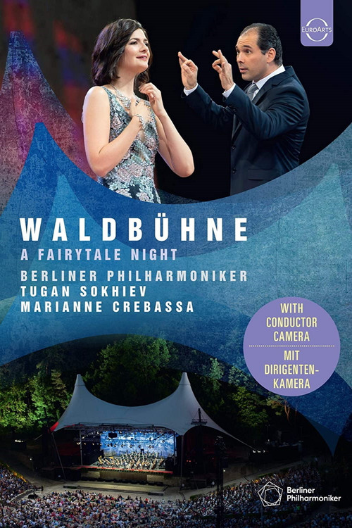 Movie poster for Waldbühne 2019: A Fairytale Night (2019)