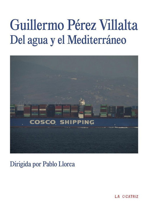 Movie poster for Guillermo Pérez Villalta. Del agua y el Mediterráneo (2023)