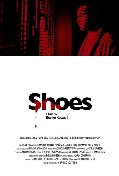 Movie poster for Shoes (2016)