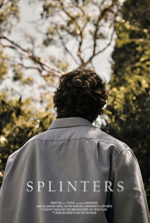 Movie poster for Splinters