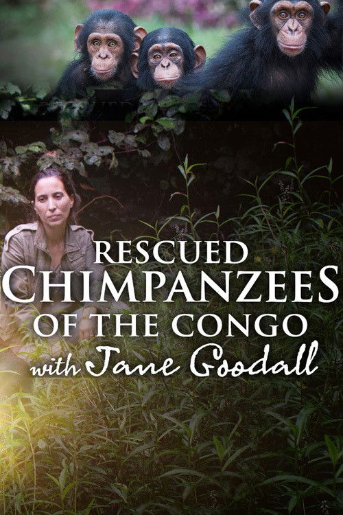 Rescued Chimpanzees of the Congo with Jane Goodall poster