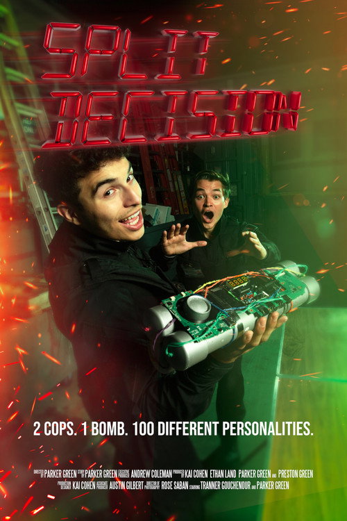 Movie poster for Split Decision (2024)