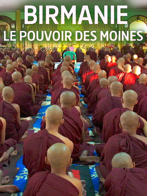 Movie poster for Birmanie, le pouvoir des moines (2017)