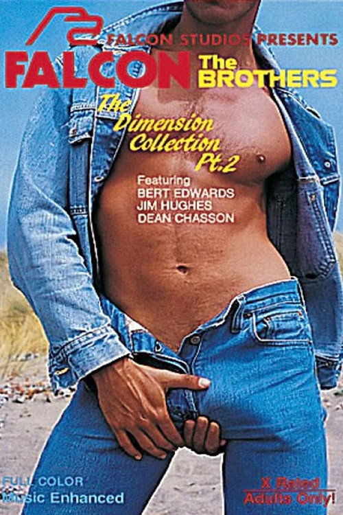 Movie poster for The Brothers (1982)