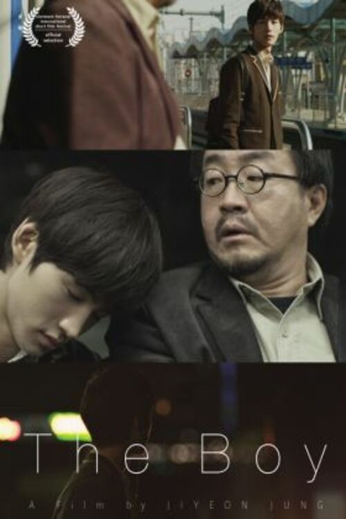 Movie poster for The Boy (2014)