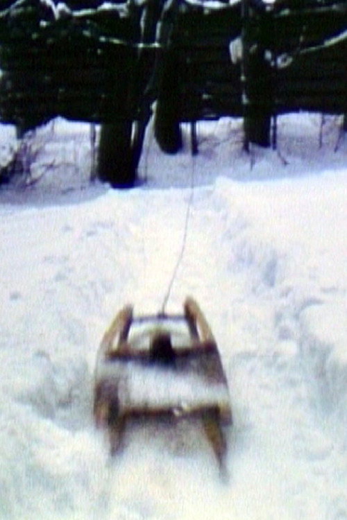Movie poster for Sled (1980)