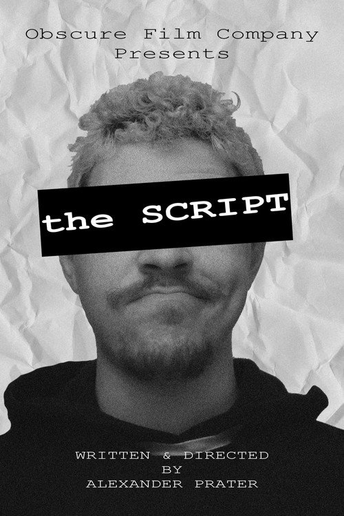 Movie poster for the SCRIPT (2025)