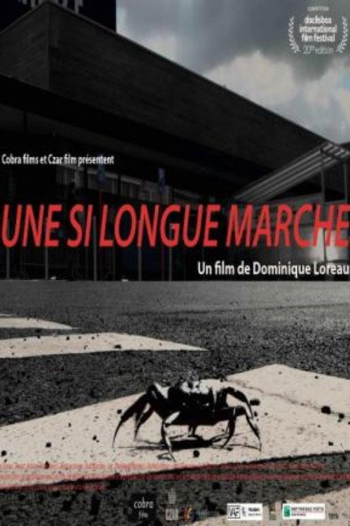 Movie poster for Such a Long March (2022)