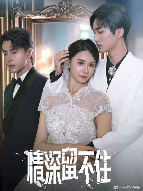 Series poster for 情深留不住 (2024)