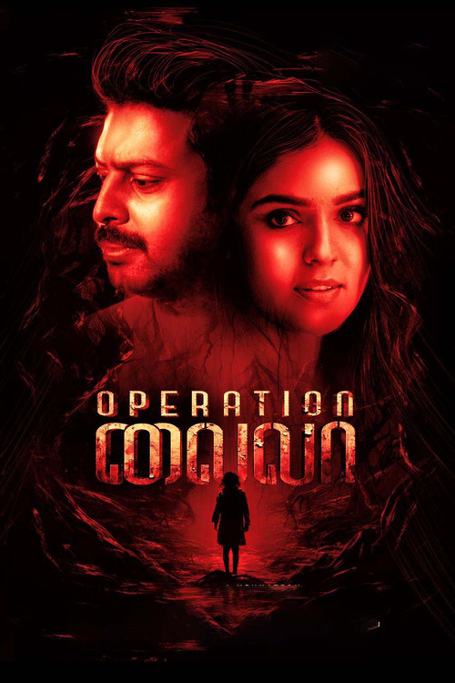 Movie poster for Operation Laila (2024)