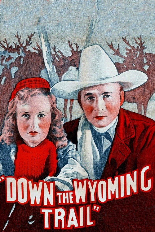 Down the Wyoming Trail poster