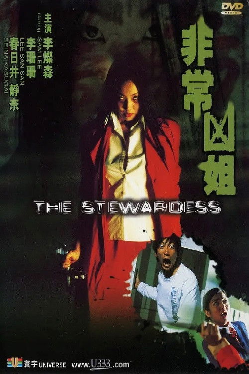 Movie poster for The Stewardess (2002)
