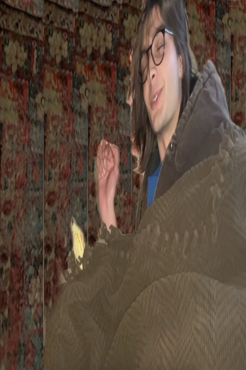 Movie poster for Bird Stomach (2024)