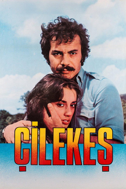 Movie poster for Çilekeş (1978)
