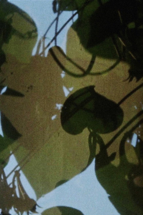 Movie poster for Arsenic (2010)