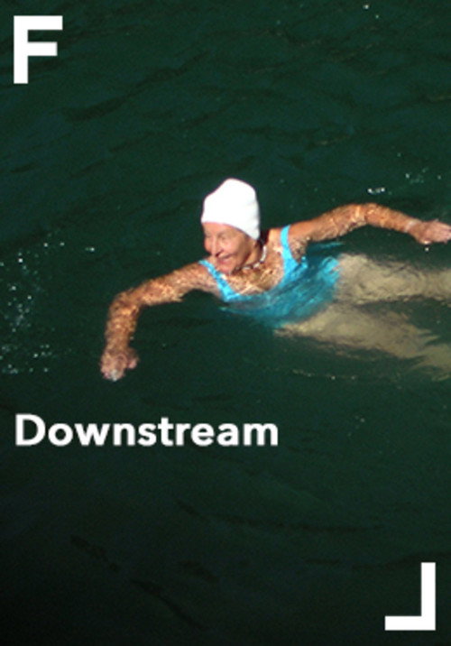 Movie poster for Downstream (2008)