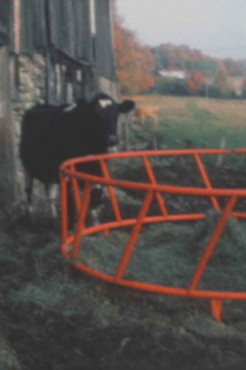 Movie poster for Super 8 Diary - 1991 (1991)