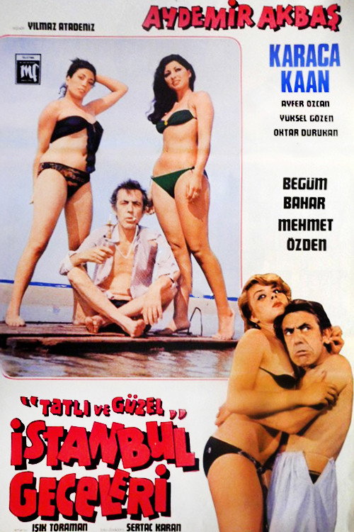 Movie poster for Tatlı ve Güzel İstanbul Geceleri (1979)