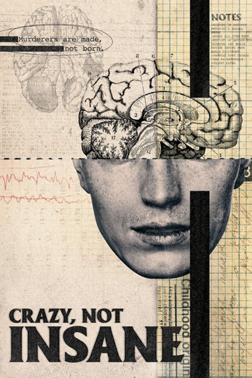 Movie poster for Crazy, Not Insane (2020)