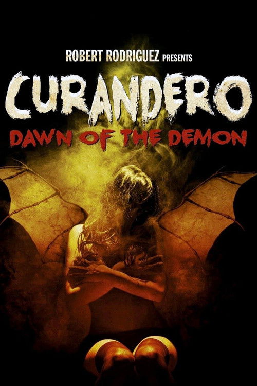 Movie poster for Curandero (2005)
