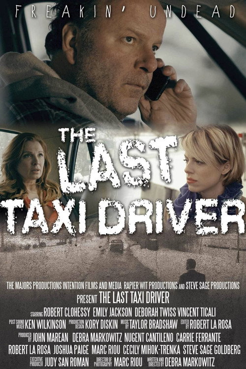 Movie poster for The Last Taxi Driver (2015)