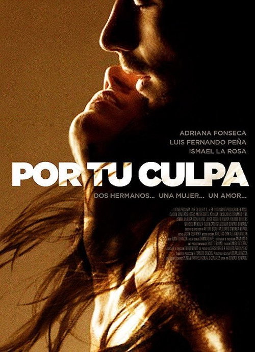 Movie poster for Por Tu Culpa (2012)