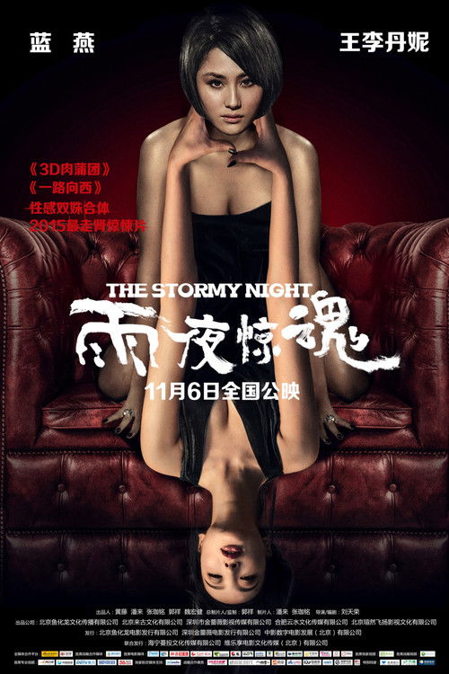 Movie poster for The Stormy Night (2015)