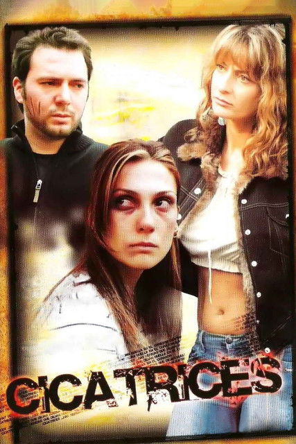 Movie poster for Scars (2005)