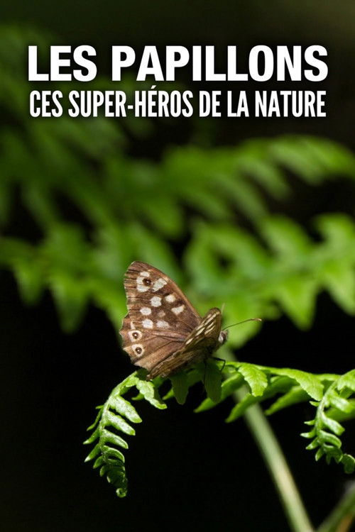 Series poster for Les Papillons, ces super-héros de la nature (2023)