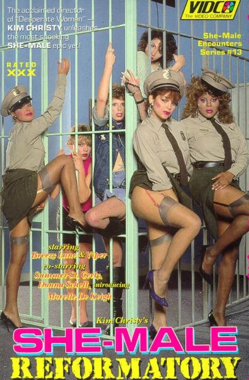 Movie poster for She-Male Encounters 13: She-Male Reformatory (1987)