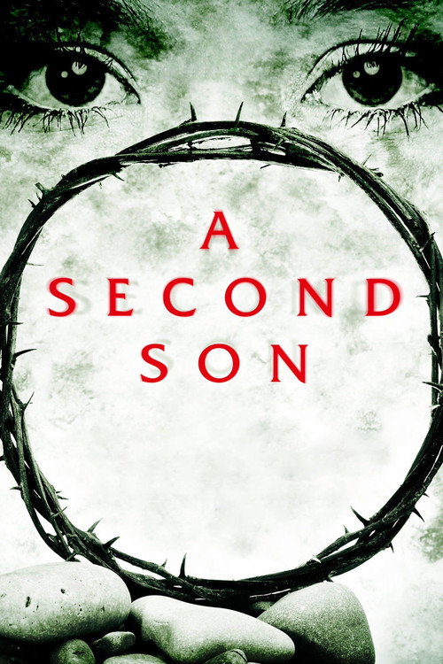 Movie poster for A Second Son (2012)