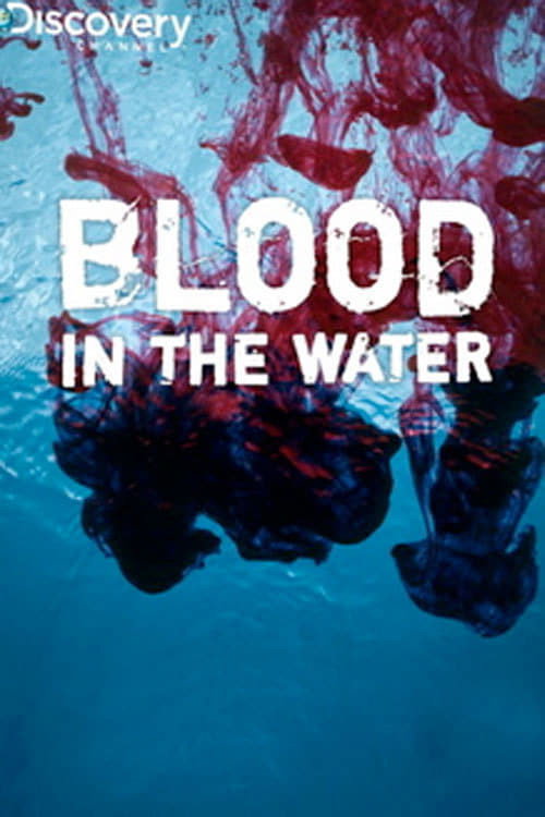 Movie poster for Blood in the Water (2009)
