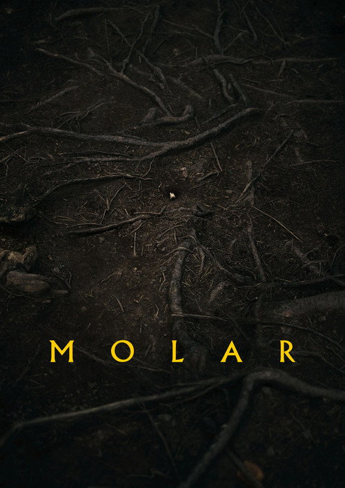 Movie poster for Molar