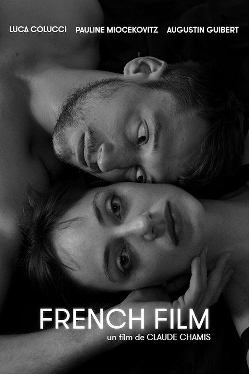 Movie poster for French Film